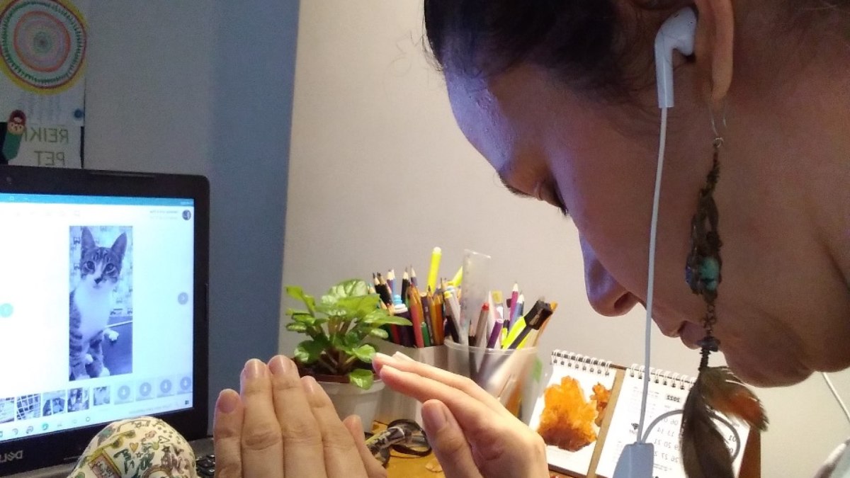 Reiki em pet ou criança